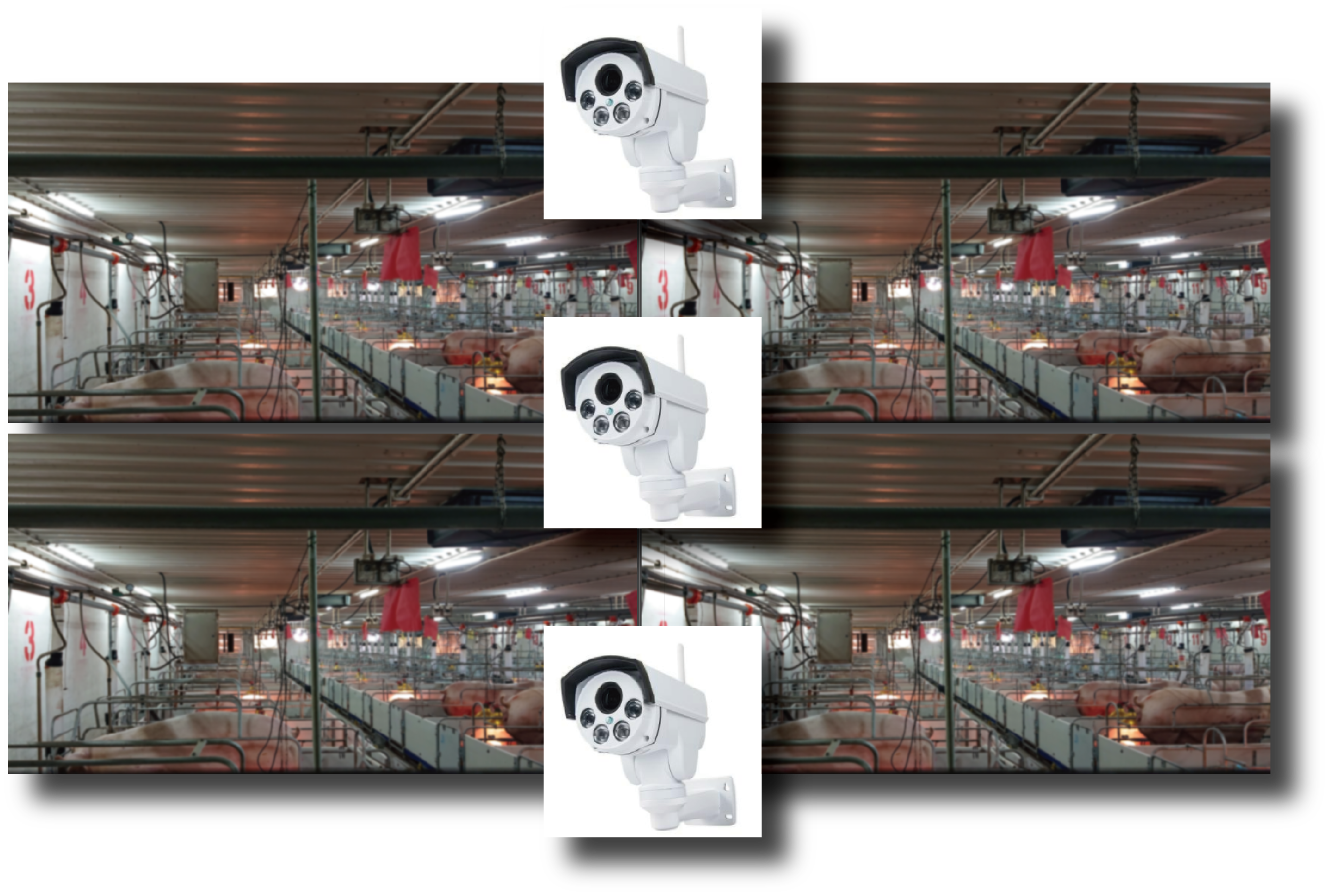 Odoo ? 文字和圖像